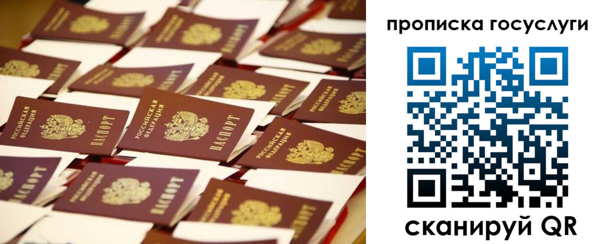 прописка гарантия в Назрани